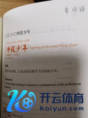 bat365体育足球其时有一批专科棋手各自下海球王会体育信息