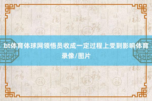 bt体育体球网领悟员收成一定过程上受到影响体育录像/图片