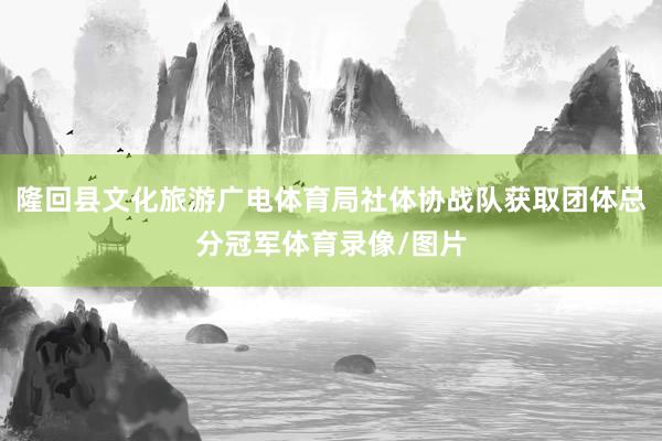 隆回县文化旅游广电体育局社体协战队获取团体总分冠军体育录像/图片