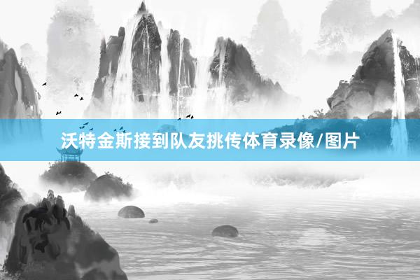 沃特金斯接到队友挑传体育录像/图片