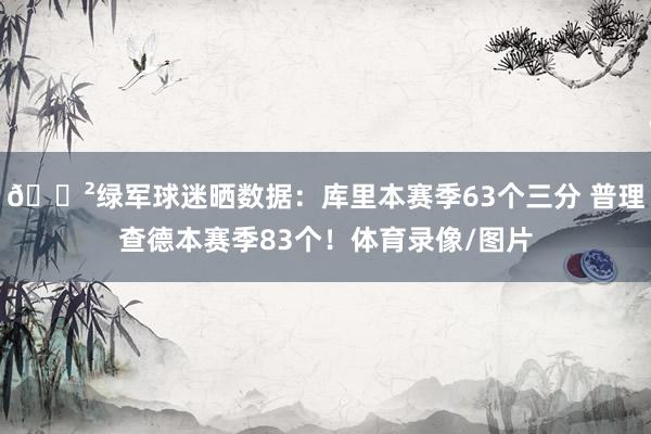 😲绿军球迷晒数据：库里本赛季63个三分 普理查德本赛季83个！体育录像/图片