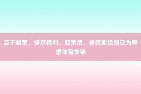 至于佩莱、塔尔德利、费莱尼、格德斯级别成为奢想体育集锦