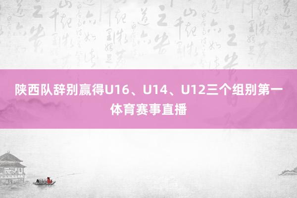 陕西队辞别赢得U16、U14、U12三个组别第一体育赛事直播