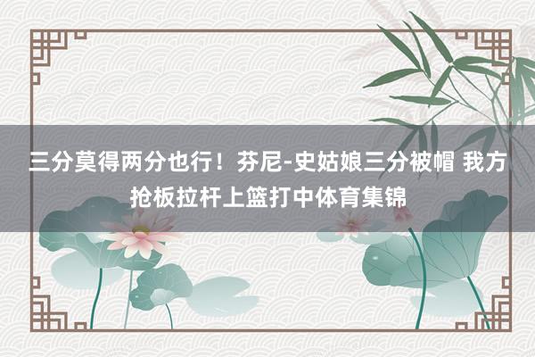 三分莫得两分也行！芬尼-史姑娘三分被帽 我方抢板拉杆上篮打中体育集锦