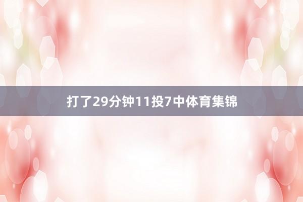 打了29分钟11投7中体育集锦