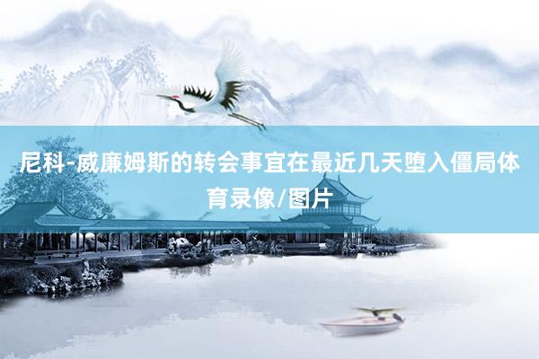 尼科-威廉姆斯的转会事宜在最近几天堕入僵局体育录像/图片