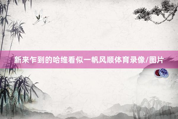 新来乍到的哈维看似一帆风顺体育录像/图片