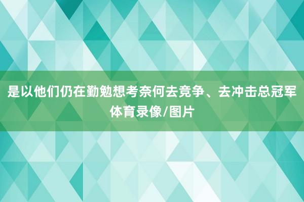 是以他们仍在勤勉想考奈何去竞争、去冲击总冠军体育录像/图片